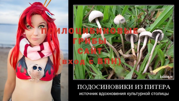 дурь Семилуки