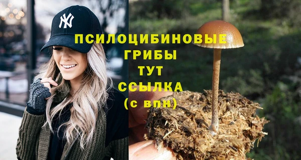 ALPHA PVP Белоозёрский